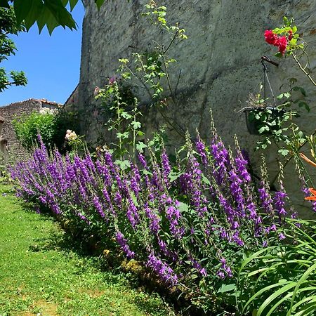 The Cool Lounge A Coulonges - Charente B&B 외부 사진