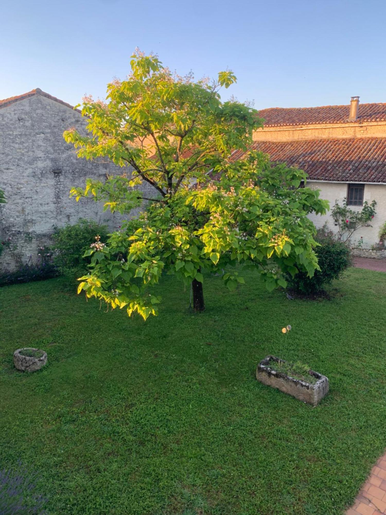 The Cool Lounge A Coulonges - Charente B&B 외부 사진