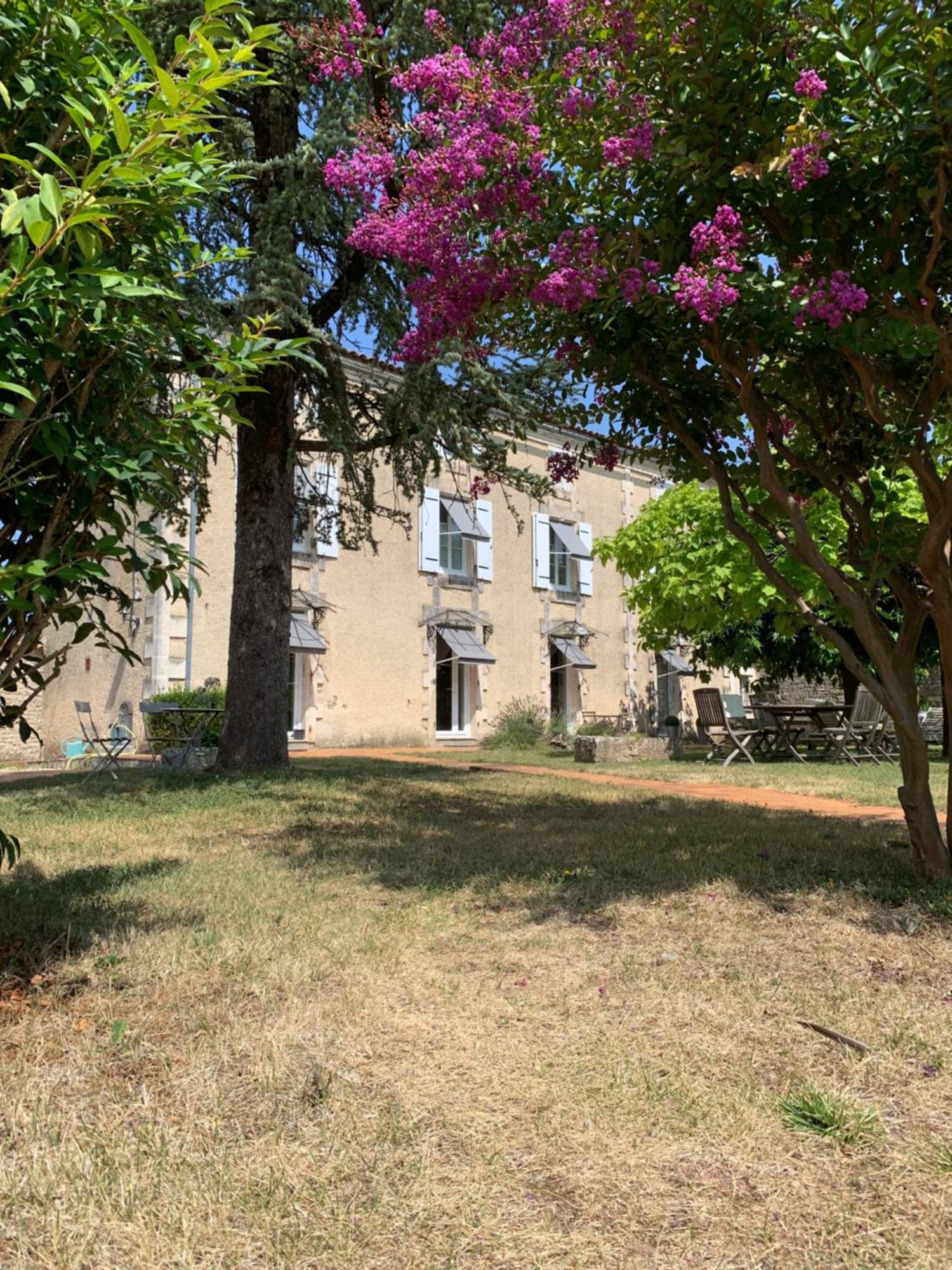 The Cool Lounge A Coulonges - Charente B&B 외부 사진