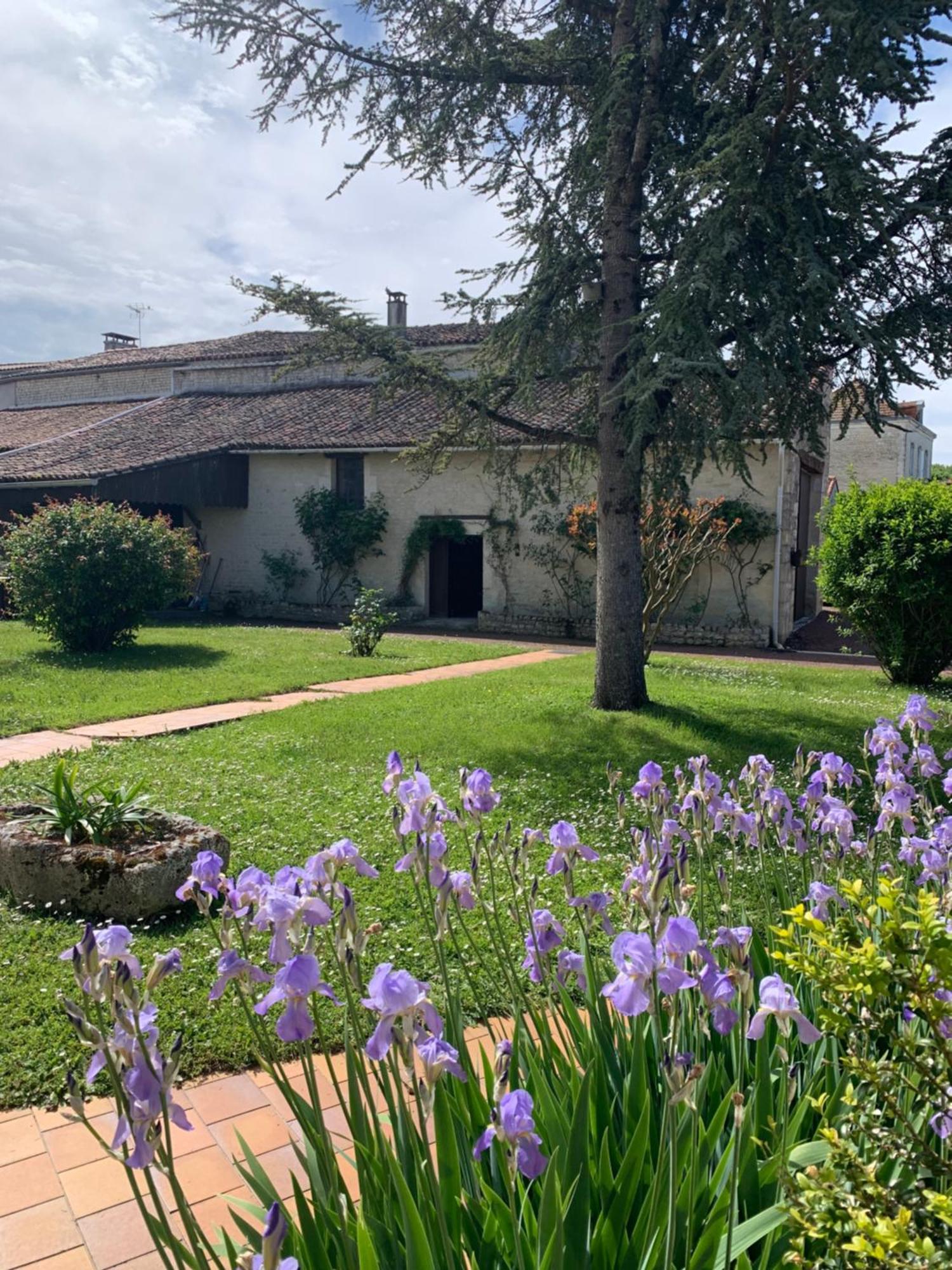 The Cool Lounge A Coulonges - Charente B&B 외부 사진