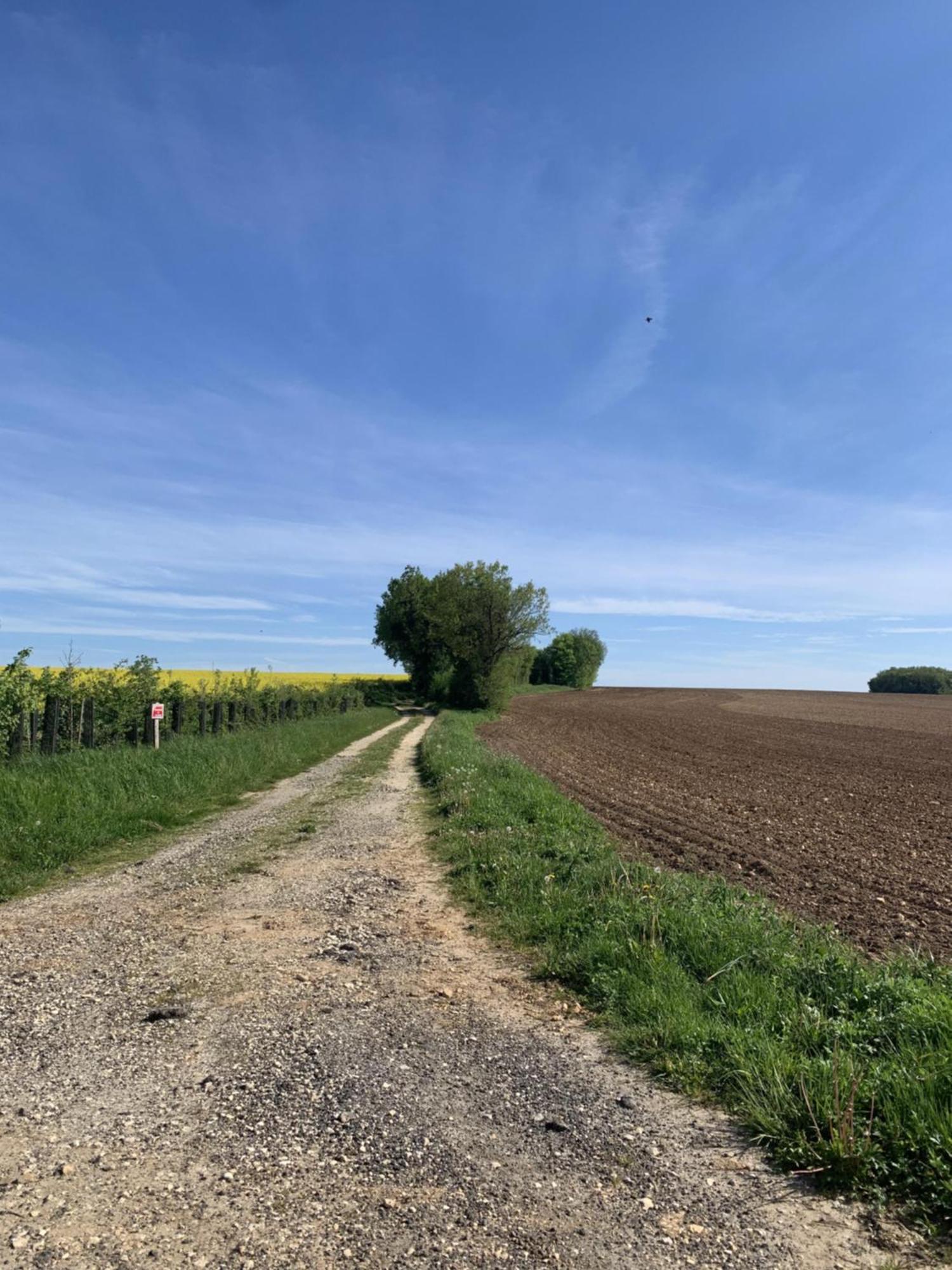 The Cool Lounge A Coulonges - Charente B&B 외부 사진